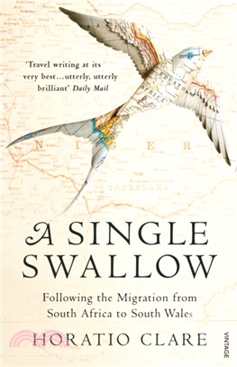 A Single Swallow：Following An Epic Journey From South Africa To South Wales