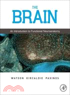 The Brain: An Introduction to Functional Neuroanatomy