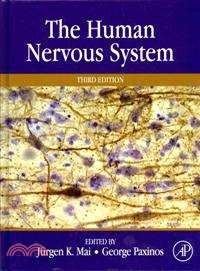 The Human Nervous System