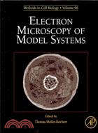 Electron Microscopy of Model Systems