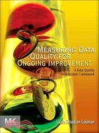 Measuring Data Quality for Ongoing Improvement ─ A Data Quality Assessment Framework