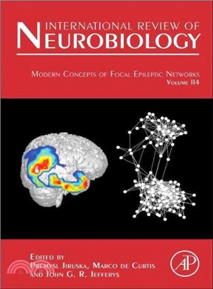 Modern Concepts of Epileptic Focus