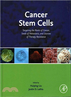 Cancer Stem Cells ― Targeting the Roots of Cancer, Seeds of Metastasis, and Sources of Therapy Resistance