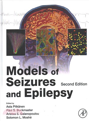 Models of Seizures and Epilepsy