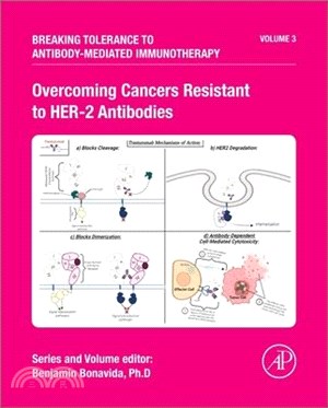 Overcoming Cancers Resistant to Her-2 Antibodies