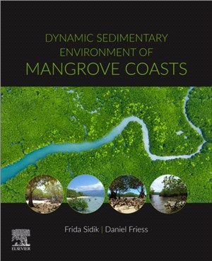 Dynamic Sedimentary Environment of Mangrove Coasts