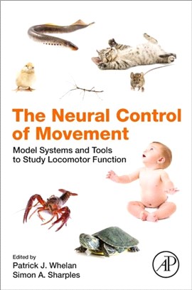 The Neural Control of Movement：Model Systems and Tools to Study Locomotor Function