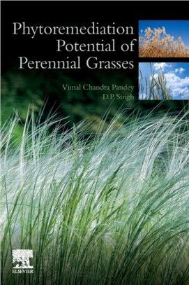 Phytoremediation Potential of Perennial Grasses