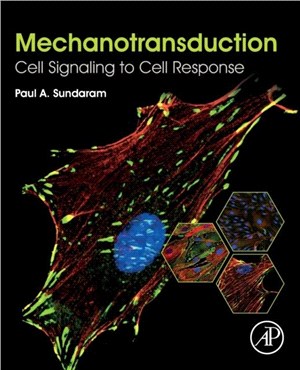 Mechanotransduction：Cell Signaling to Cell Response