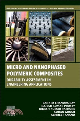 Micro and Nanophased Polymeric Composites：Durability Assessment in Engineering Applications