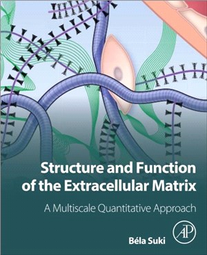 Structure and Function of the Extracellular Matrix：A Multiscale Quantitative Approach