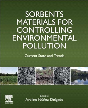 Sorbents Materials for Controlling Environmental Pollution：Current State and Trends
