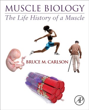 Muscle Biology：The Life History of a Muscle