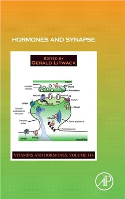 Hormones and Synapse