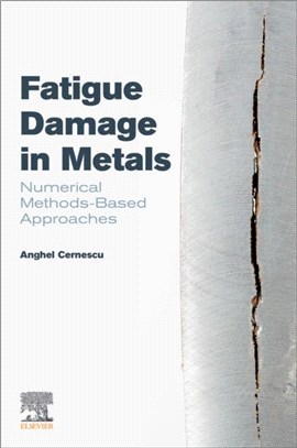 Fatigue Damage in Metals：Numerical Methods-Based Approaches