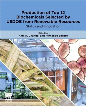 Production of Top 12 Biochemicals Selected by USDOE from Renewable Resources：Status and Innovation