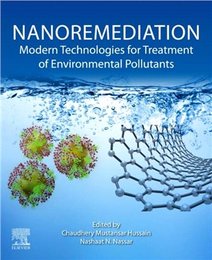 Nanoremediation：Modern Technologies for Treatment of Environmental Pollutants
