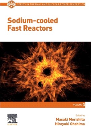 Sodium-cooled Fast Reactors