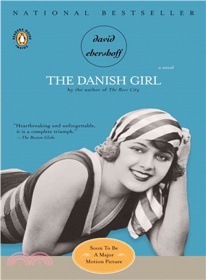 The Danish Girl ─ A Novel