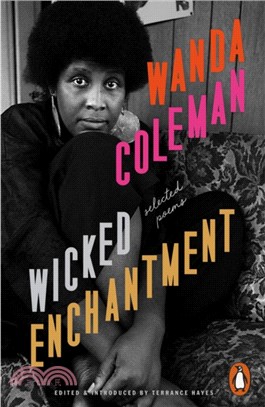 Wicked Enchantment : Selected Poems