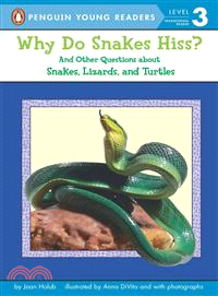 Why do snakes hiss? : and other questions about snakes, lizards, and turtles /