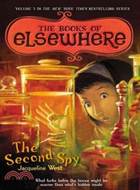 The second spy /