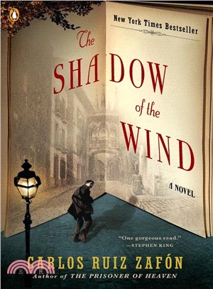 The Shadow of the Wind /