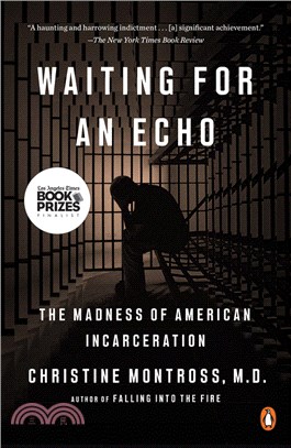 Waiting for an Echo: The Madness of American Incarceration