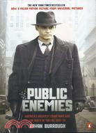 Public enemies :[America's greatest crime wave and the birth of the FBI, 1933-34] /