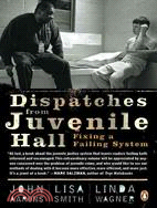 Dispatches from Juvenile Hall ─ Fixing a Failing System