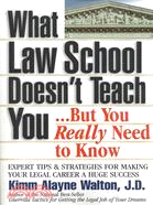 What Law School Doesn't Teach You...but You Really Need to Know: Expert Tips & Strategies for Making Your Legal Career a Huge Success