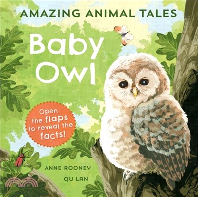 Amazing Animal Tales: Baby Owl