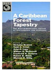 A Caribbean Forest Tapestry ─ The Multidimensional Nature of Disturbance and Response