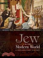 The Jew in the Modern World ─ A Documentary History