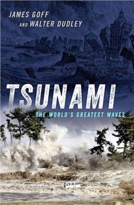 Tsunami：The World's Greatest Waves