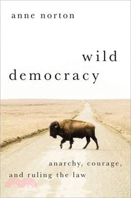 Wild Democracy: Anarchy, Courage, and Ruling the Law