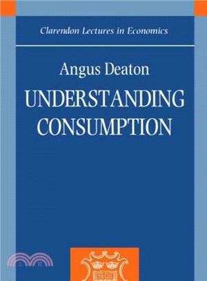Understanding consumption /