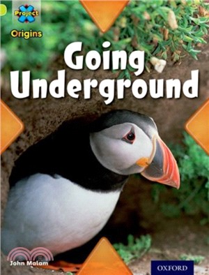 Project X Origins: Lime Book Band, Oxford Level 11: Underground: Going Underground