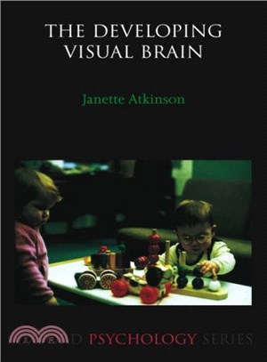 The Developing Visual Brain