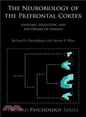 The Neurobiology of the Prefrontal Cortex ─ Anatomy, Evolution, and the Origin of Insight