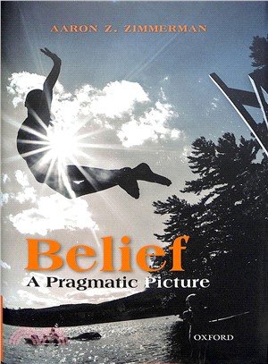 Belief ― A Pragmatic Picture
