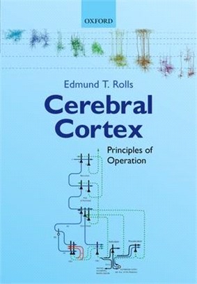 Cerebral Cortex ― Principles of Operation