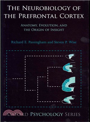 The Neurobiology of the Prefrontal Cortex ─ Anatomy, Evolution, and the Origin of Insight