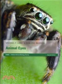 Animal Eyes