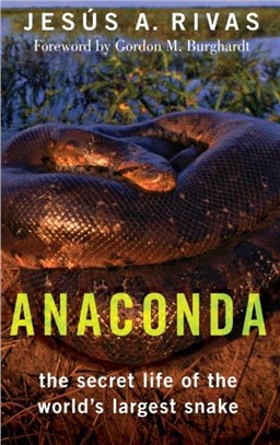 Anaconda：The Secret Life of the World's Largest Snake