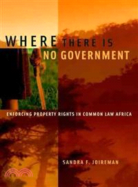 Where There Is No Government