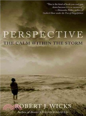 Perspective ─ The Calm Within the Storm