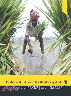 Politics and Culture in the Developing World