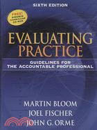 Evaluating Practice ─ Guidelines for the Accountable Professional