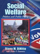 Social Welfare: Politics and Public Policy